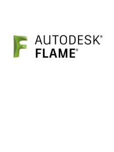 Flame — logo officiel
