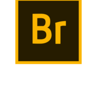 Adobe Bridge est un logiciel de gestion de fichiers multimédias qui permet aux professionnels de l'image de gérer