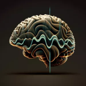 Installation Installation