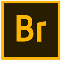 Adobe Bridge est un logiciel de gestion de fichiers multimédias qui permet aux professionnels de l'image de gérer