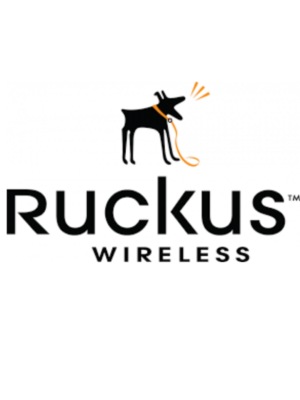 Découvrez Ruckus, le leader des solutions de connectivité pour les réseaux sans fil. Nos solutions Wi-Fi, filaires et de gestion de réseau offrent des performances fiables et de haute qualité pour les entreprises de toutes tailles. Contactez-nous dès maintenant pour en savoir plus sur nos solutions de connectivité pour les réseaux sans fil.