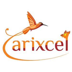ARIXCEL est un éditeur de logiciels spécialisé dans les solutions d'analyse de données pour les professionnels de la finance et de la comptabilité. Notre outil d'analyse de données facile à utiliser