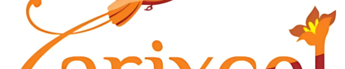 Logo officiel Arixcel – Logiciel gestion et analyse Excel DISKOD MAROC