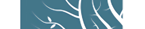 Logo de Lumion, logiciel de visualisation 3D pour architectes