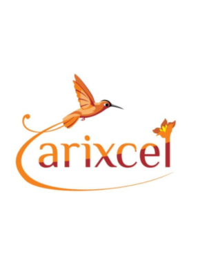 ARIXCEL est un éditeur de logiciels spécialisé dans les solutions d'analyse de données pour les professionnels de la finance et de la comptabilité. Notre outil d'analyse de données facile à utiliser, ARIXCEL Explorer, vous permet d'analyser et de visualiser vos données financières en temps réel, vous permettant de prendre des décisions plus éclairées et plus rapides.
