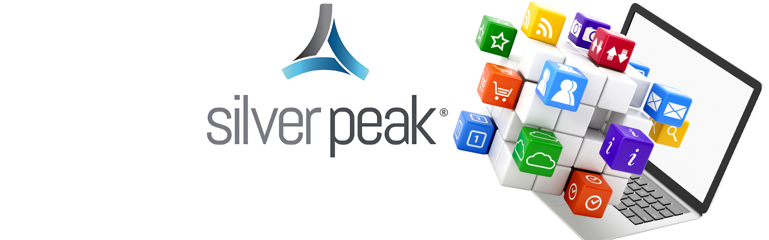 alt="Bannière SILVER PEAK – Optimisation SD-WAN, gestion cloud, sécurité MPLS/Internet sur DISKOD MAROC