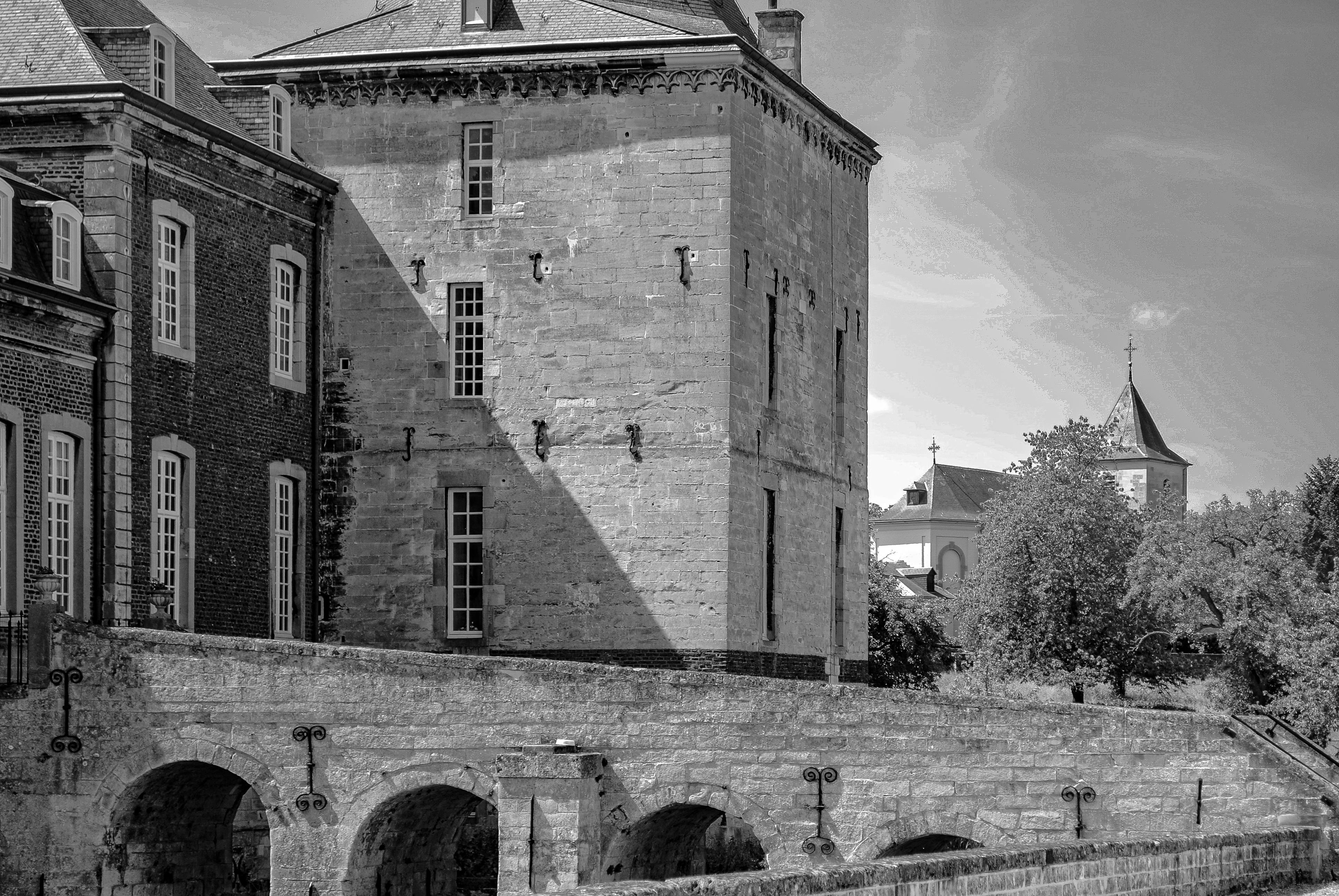 Sauvegarde et Restauration de Bases de Données 2026