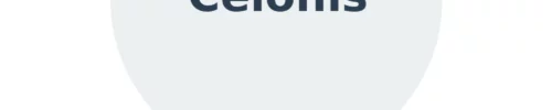 Celonis Celonis Process Intelligence Platform – Licence CELONIS-EMS (Celonis Execution Management System)