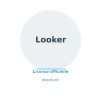 Logo Looker Looker Data Services – Licence LOOKER-DATAOPS (Looker DataOps)