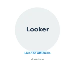Looker — logo officiel