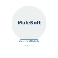 Logo MuleSoft MuleSoft Anypoint Exchange – Licence MS-EXCHANGE (Asset Repository)