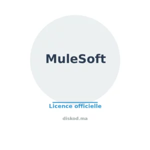 MuleSoft — logo officiel