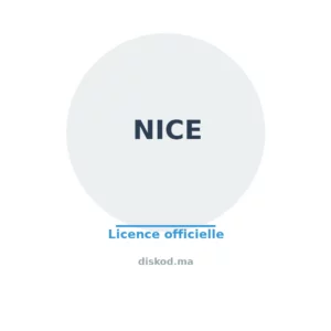 NICE — logo officiel