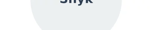 Snyk Training & Certification – Licence SNYK-TRAINING (Learning)